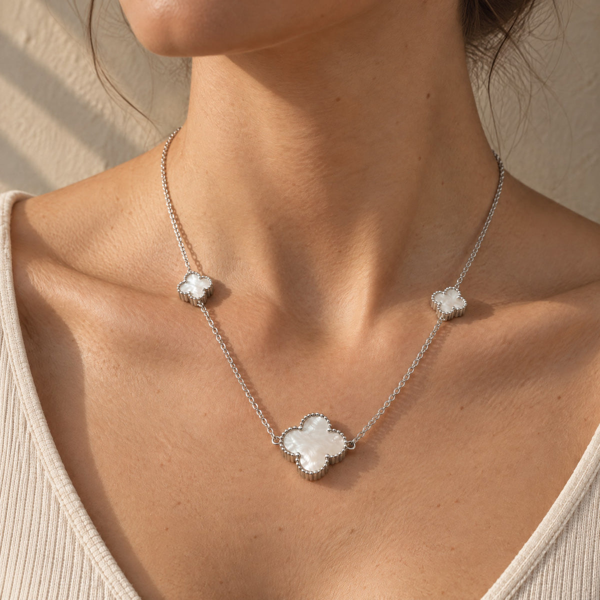 COLLAR ELITE PLATEADO CHICO NACAR